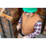Mobile Warming Foreman Vest - Mens, Tan, Extra Large, MWJ19M17-16-05