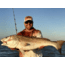 Mojo Sportswear Company Performance Hoodie - Mens, Redfish, 2XL, Redfish - 2XL - PRF Hoodie