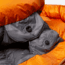 Mountain Equipment Snowline Down Sleeping Bag, Marmalade, Regular, ME-003499-ME-01294-LZ