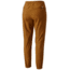 Mountain Hardwear AP Scrambler Pant - Women's, Golden Brown, 12 Waist, 28 Inseam 1708801233-12-28