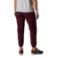 Mountain Hardwear Dynama High Rise Jogger - Womens, Cocoa Red, Large, Regular, 1989081604-Cocoa Red-L-R
