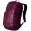 Mountain Hardwear Enterprise 21 L Backpack-Dark Raspberry