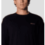 Mountain Hardwear Graphic SS 2 Top - Mens