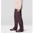 Mountain Hardwear Rockrydge Pants - Mens