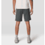 Mountain Hardwear Rockrydge Short - Mens