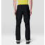 Mountain Hardwear Stretch Ozonic Pants - Mens