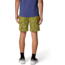 Mountain Hardwear Stryder Shorts - Mens
