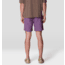 Mountain Hardwear Stryder Shorts - Mens