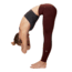 Mountain Hardwear Tonsai Tight - Womens, Dark Umber, Extra Large, Regular Inseam, 1829761259-XL-R