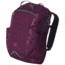 Mountain Hardwear Zoan 21L Backpack - Women's-Dark Raspberry