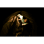 MPOWERD Luci Base Light - Inflatable Solar Lantern, 300 Lumens 1035-001-001-002