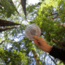 MPOWERD Luci Outdoor 2.0 Lantern, Clear 1023-002-001-002