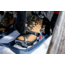 MSR Evo Trail Snowshoes, Midnight, 22 in, 13620