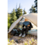 MSR Hubba Hubba LT 1P Tent, Sandstone, 1, 13936