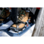 MSR Evo Trail Snowshoes