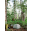 MSR Hubba Hubba HD Tent