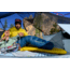 MSR Hubba Hubba HD Tent