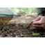 MSR Hubba Hubba HD Tent