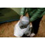 MSR Hubba Hubba HD Tent