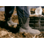 Muck Boots Originals Pull On Mid Boots - Mens, Black, 15, OMM-000-BLK-150