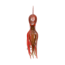 Mustad Ink Vader Octopus Jig, Mini, Red Devi Body, 2 per Pack, MIKVRB-MINI-ARD-2