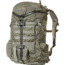Mystery Ranch 2 Day Assault Backpack, Foliage, Large/Extra Large, 111183-037-45