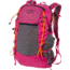 Mystery Ranch In and Out 19L Daypack, Vice, One Size, 112607-675-00