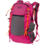 Mystery Ranch In and Out 19L Daypack, Vice, One Size, 112607-675-00