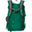 Mystery Ranch In and Out Daypack, Grass, 110311-330-00