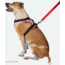 Nathan Reflective Dog Harness Sm NS8500-0579-S