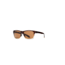 Native Eyewear Flatirons, Stout Fade Frame, Brown Lens, 172 383 524