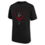 Nike Atlanta Falcons Icon Legend Edition Big Kids Nike Dri-FIT NFL T-Shirt in Black Z1B7NFQFFAL-NAW, Black, S, unisex, 1016045212-00199618003340