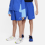 Nike Nike Multi Big Kids Boys Dri-FIT Woven Shorts in Blue DX5382-480, Blue, M, male, 1000521750-00196153474079