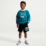 Nike Nike Sportswear Little Kids Multisport Fleece Shorts in Black 86P208-023, Black, 6, male, 1016056408-00199016121318