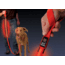 Nite Ize NNL-03-10 Nite Dawg Nylon Dog Leash w/ Bright Red LED Flash or Glow Illumination