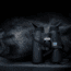 NOCPIX QUEST H50R Rangefinding Thermal Binocular 640x512 50 mm, Black, 6.91 5.43 2.60, QUEST-H50R