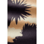 Nomadix Original Towel, National Parks - Joshua Tree, One Size, NM-JOSH-101