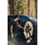 Nomadix Original Towel, National Parks - Joshua Tree, One Size, NM-JOSH-101