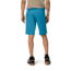 Norrona Falketind Flex1 Shorts - Mens, Tapestry, Small, 1813-20-6646-S