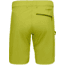 Norrona Falketind Flex1 Shorts - Mens