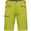 Norrona Falketind Flex1 Shorts - Mens