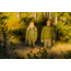 Norrona Finnskogen Warm2 Jacket