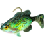Northland Live-Forage Swimbait 1/8 oz, 2in 1/Cd Crappie, LFS3-28