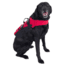 NRS CFD Dog Life Jacket, Red, XS 40023.01.104