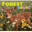 Ntl Book Network Forest Babies 9781559718745