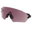 Oakley SI Tombstone Spoil Replacement Lens,Prizm TR22 101-369-001