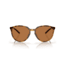 Oakley Sielo Sunglasses, Brown Tortoise, PRIZM Bronze Polarized, PRIZM Bronze Polarized, OO9288-0357