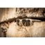 Oakley SI Standard Issue Holbrook Multicam Collection Sunglasses, Multicam w/Prizm Grey Polar, OO9102-I255
