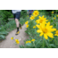 Oboz Bozeman II Hiking Shoes - Mens