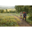 Oboz Bozeman II Hiking Shoes - Mens